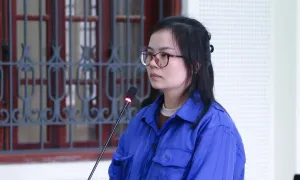 Lừa góp vốn dịch vụ 'chứng minh tài chính'