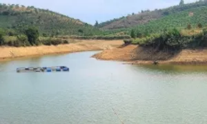 Hai người đàn ông gặp nạn dưới hồ thủy lợi Hai người đàn ông gặp nạn dưới hồ thủy lợi